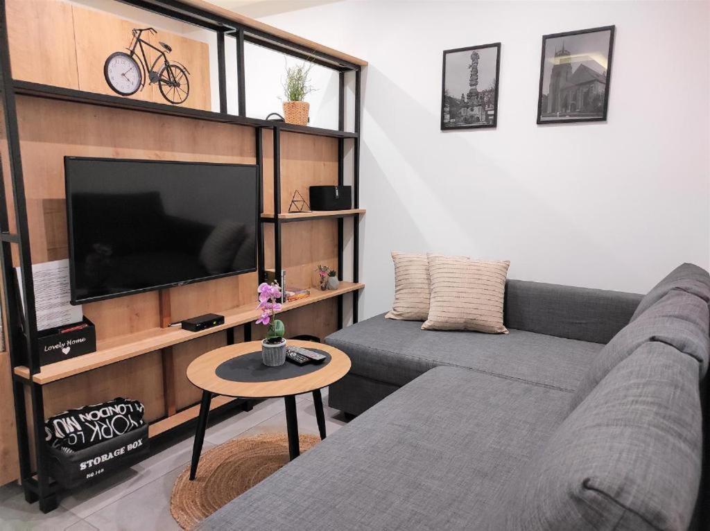Apartamenty Marianska 103 拉齐布日 外观 照片